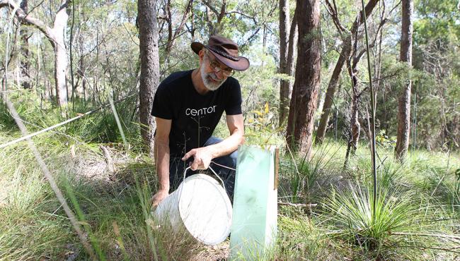 Centor engineer watering tree saplings planted in the one door: one tree program